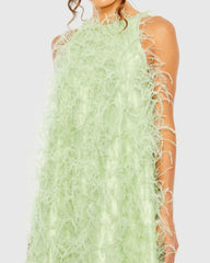 Green Sleeveless Feather Embellished Trapeze Gown