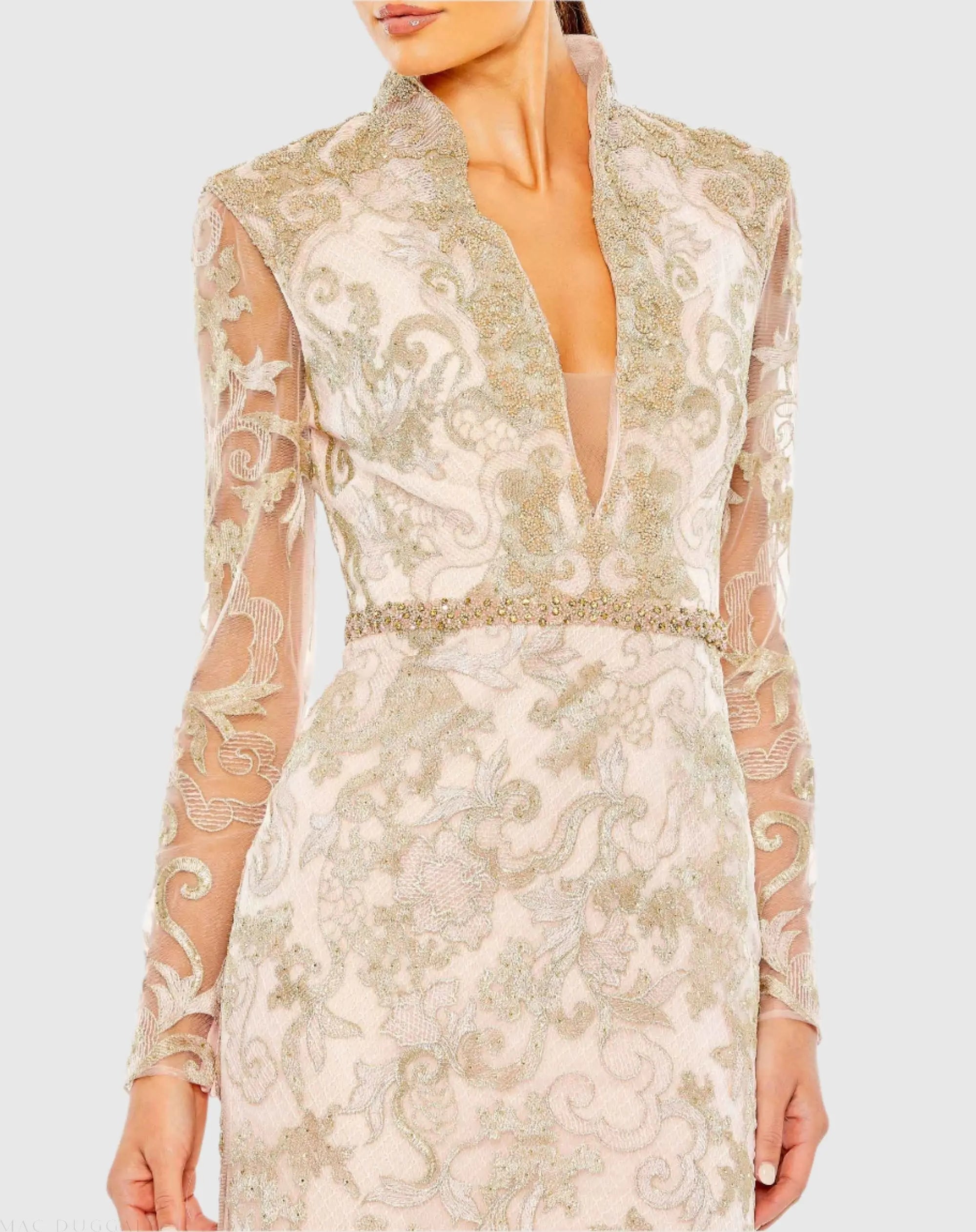 Pink Queen Anne Lace Long Sleeve V-Neck Trumpet  Gown