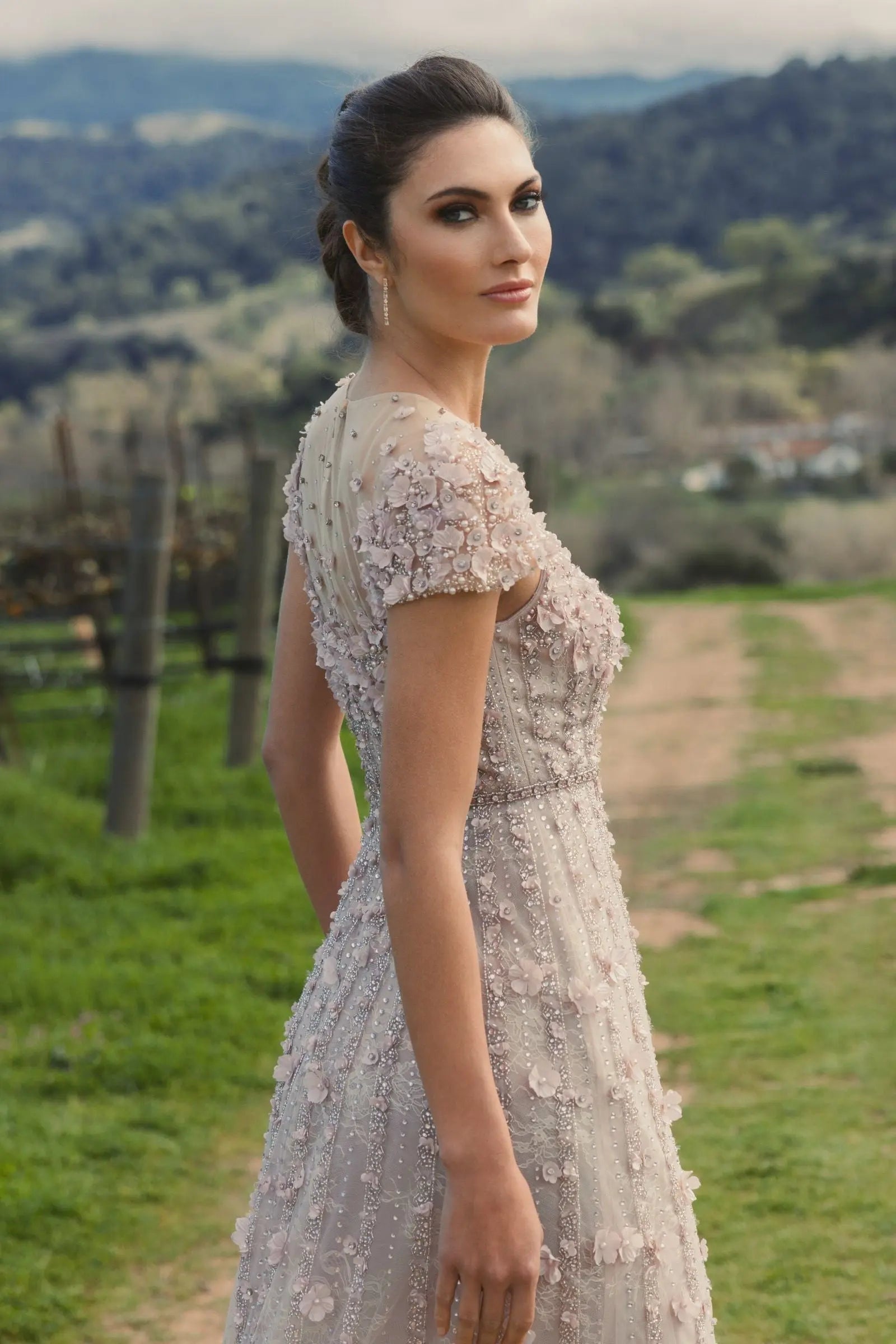 Pink Embellished Lace Illusion Neck A-Line Gown