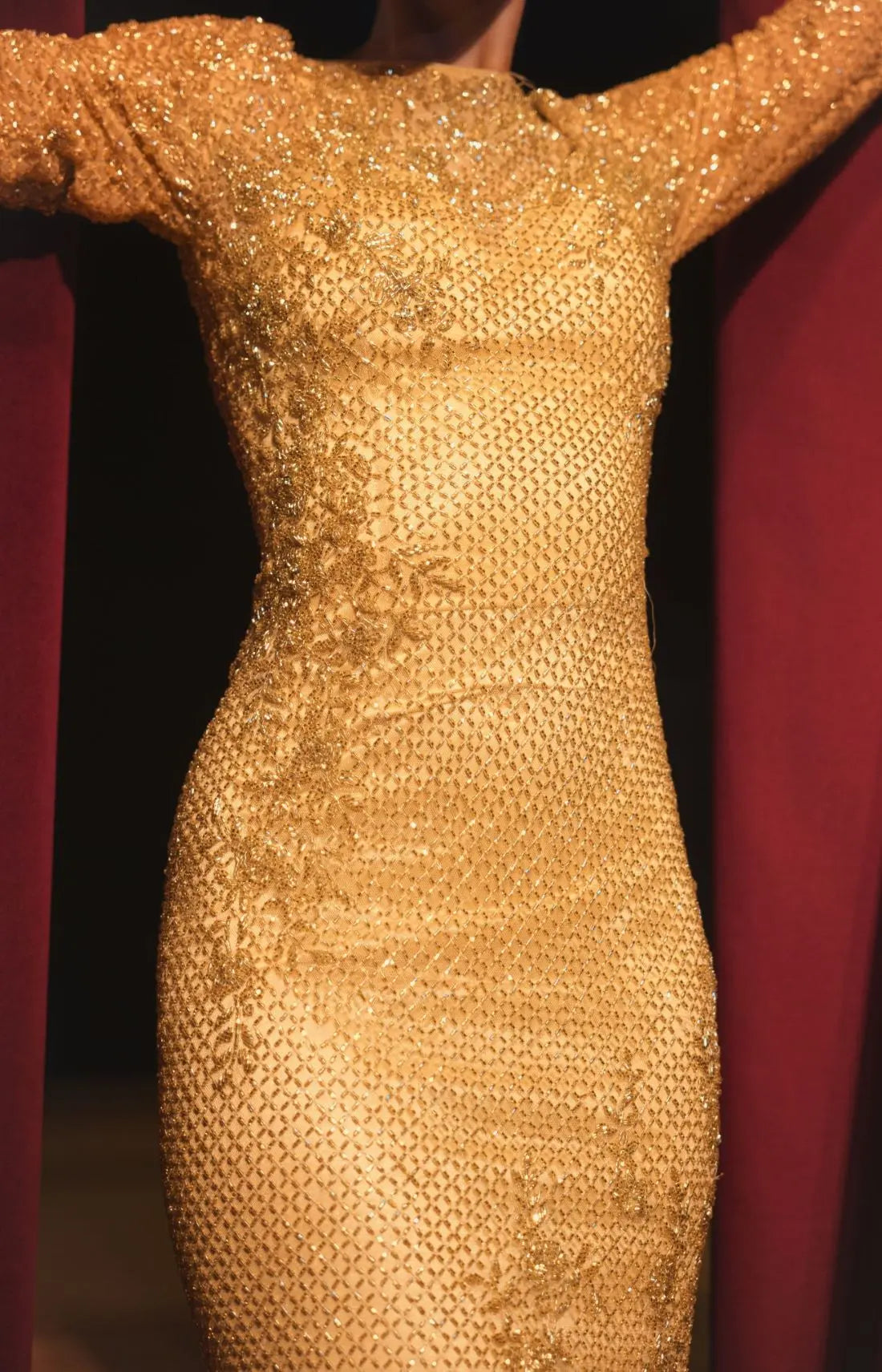 Gold Long Sleeve Embellished Gown