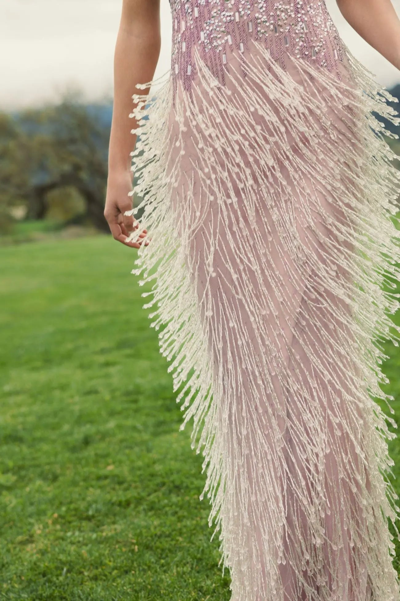 Purple Embellished Cap Sleeve Gown With Fringe Beading