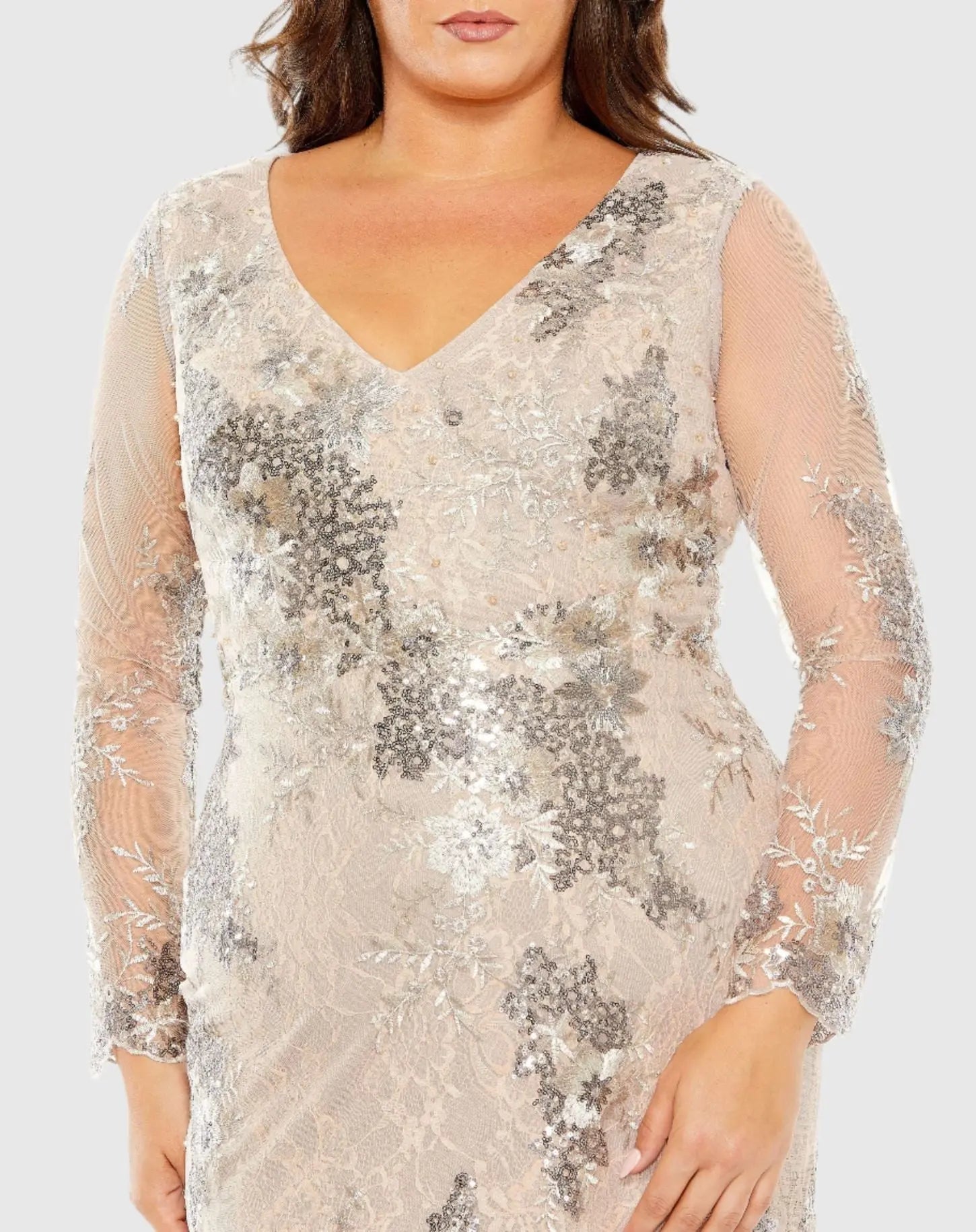 Beige V Neck Mesh Long Sleeve Embroidered Gown