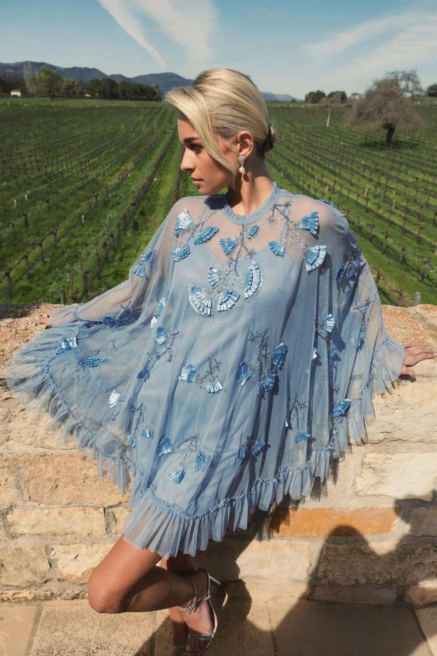 Blue Embellished Long Flare Sleeve Mesh Trapeze Dress