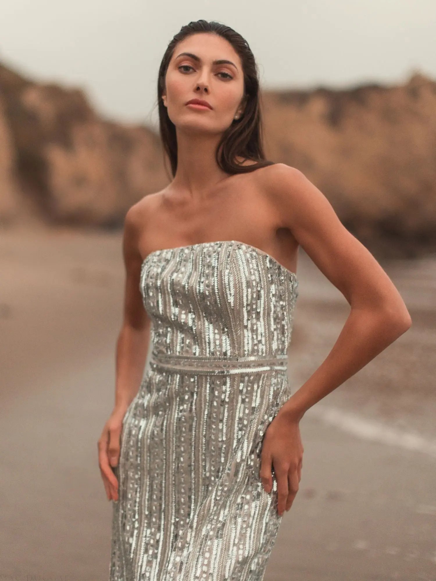 Silver and Beige Embellished Strapless Sheath Dress