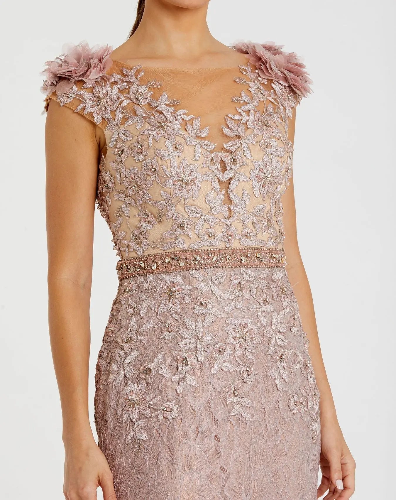 Pink Embroidered Illusion Appliqued Bodice Trumpet Gown