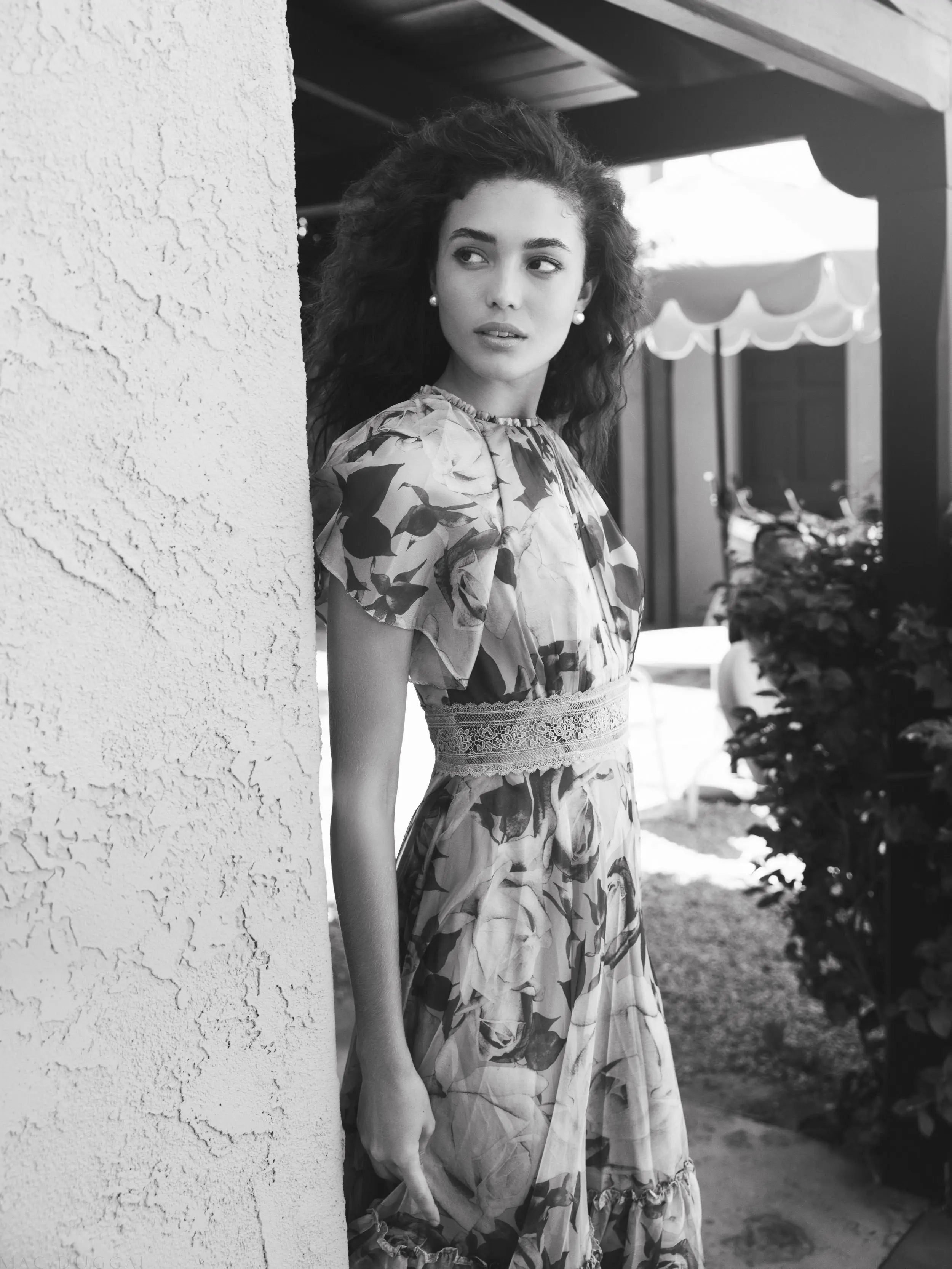 Multicolor Floral Chiffon High Neck Flutter Sleeve Dress